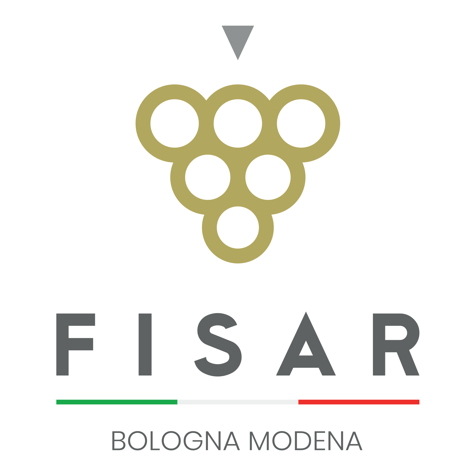 Logo FISAR Bologna e Modena
