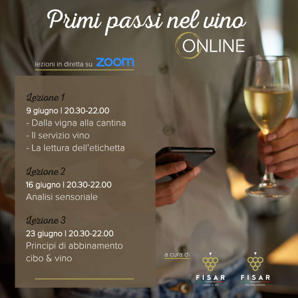 FISAR - Primi passi vino online