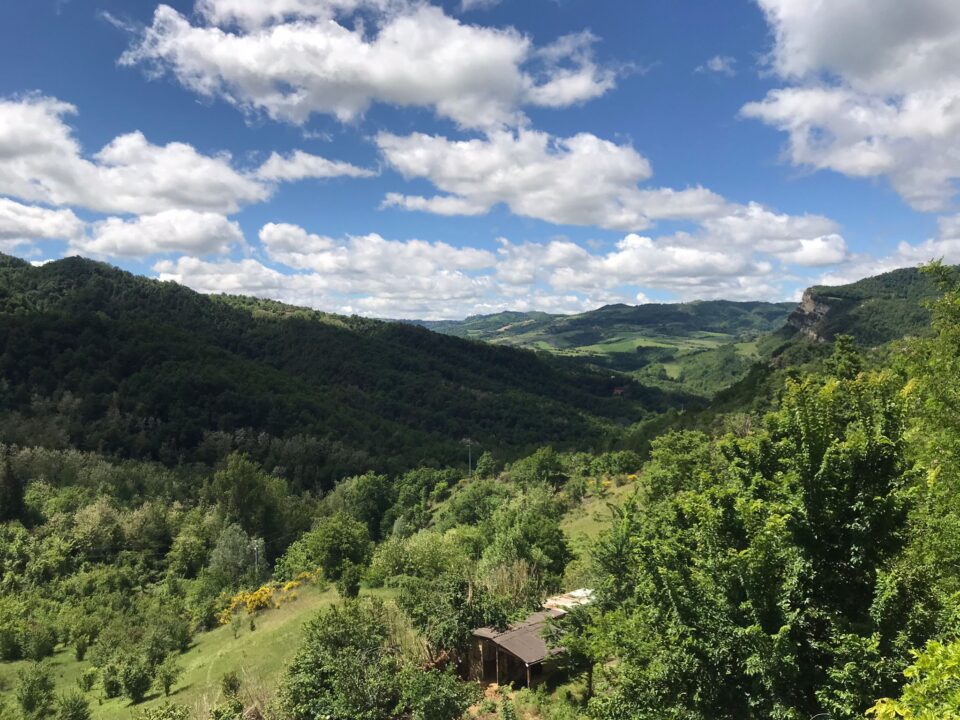 Visita al Museo dei Botroidi Luigi Fantini e degustazione al Podere Riosto