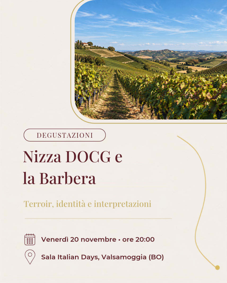 Nizza DOCG e la Barbera